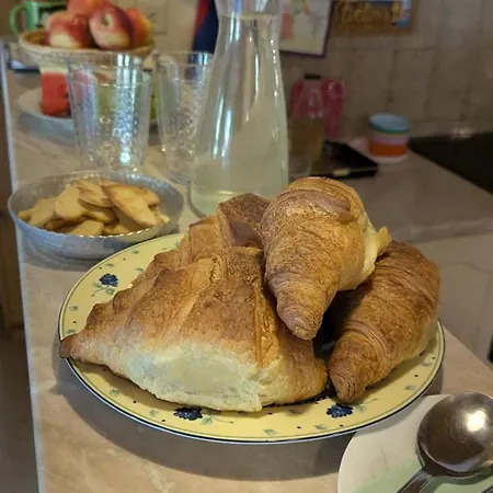 Dedkova Kajza Grandpa's 보닌스카비스트리카