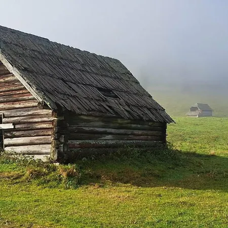 Dedkova Kajza Grandpa's 보닌스카비스트리카